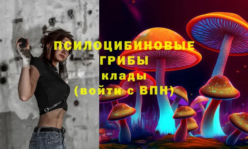 купить наркотики цена  Верхний Уфалей  Псилоцибиновые грибы Psilocybe 